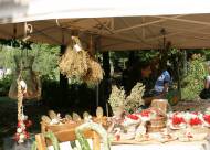 Mostra-mercato Vanzo Floreale 2009